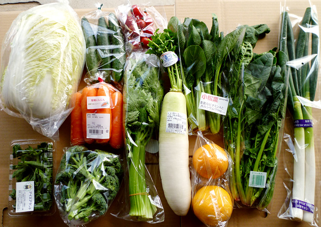 野菜セットの写真