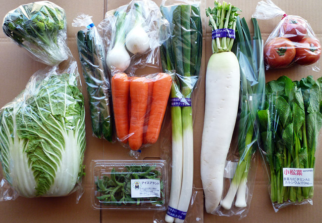 野菜セットの写真