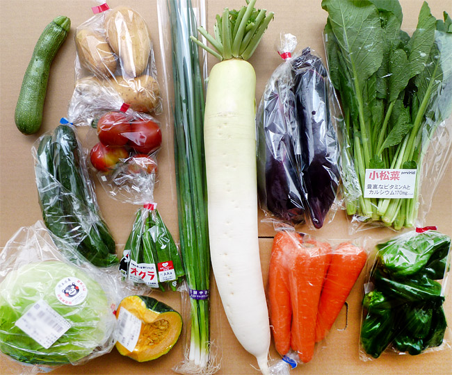 野菜セットの写真