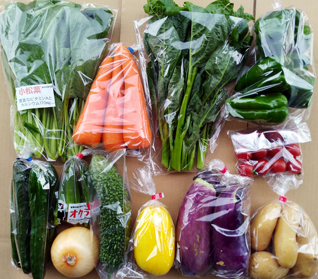 野菜セットの写真