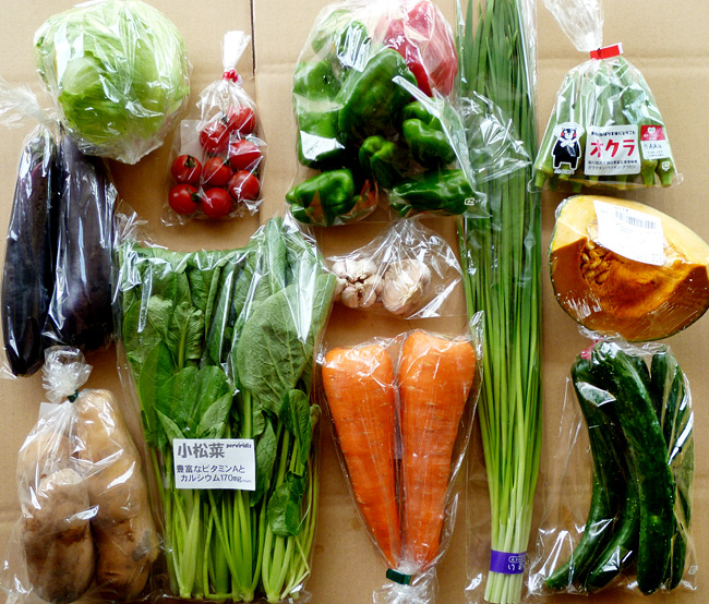野菜セットの写真