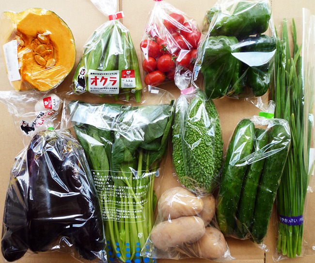 野菜セットの写真