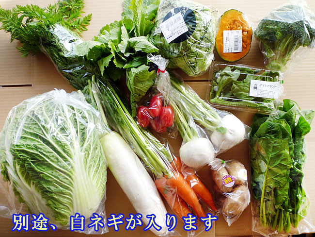 野菜セットの写真