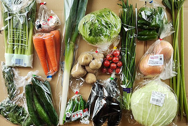 野菜セットの写真