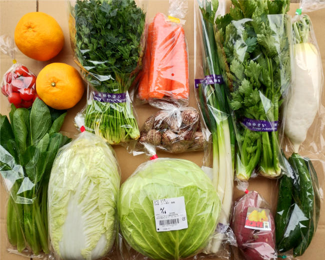 野菜セットの写真
