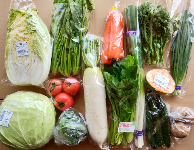 野菜セットの写真