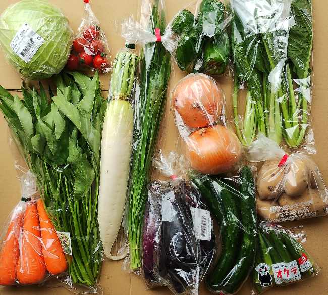 野菜セットの写真